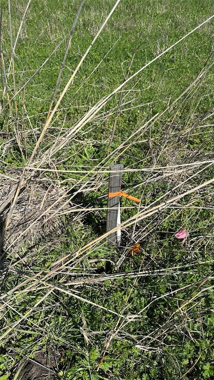14693 State Highway 78 Property Photo 4