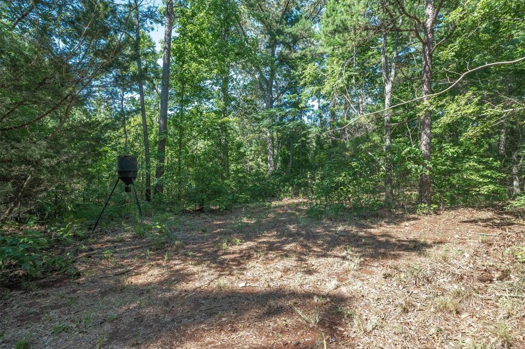 106 Vz County Road 4814 Property Photo 38