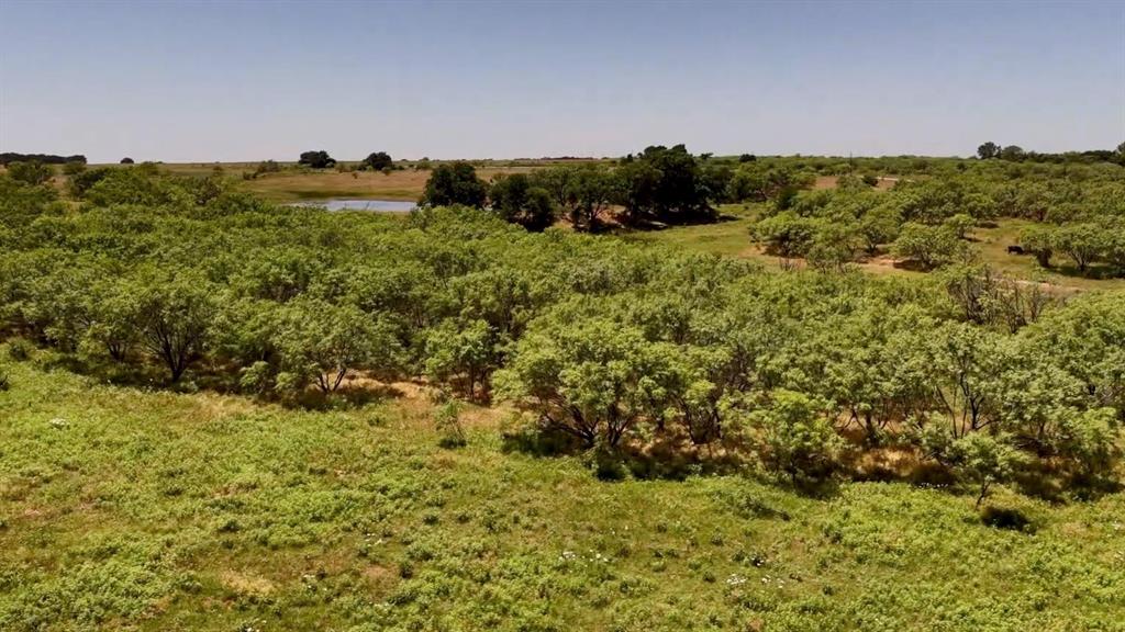 Tbd Clay County Land Property Photo 14