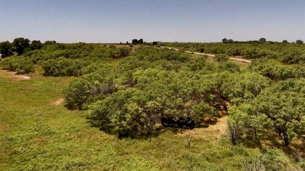 Tbd Clay County Land Property Photo 15
