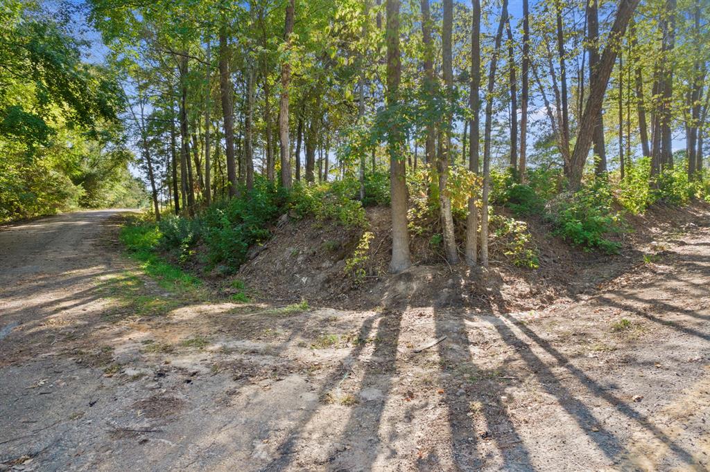Tbd Charlya Drive Property Photo 9