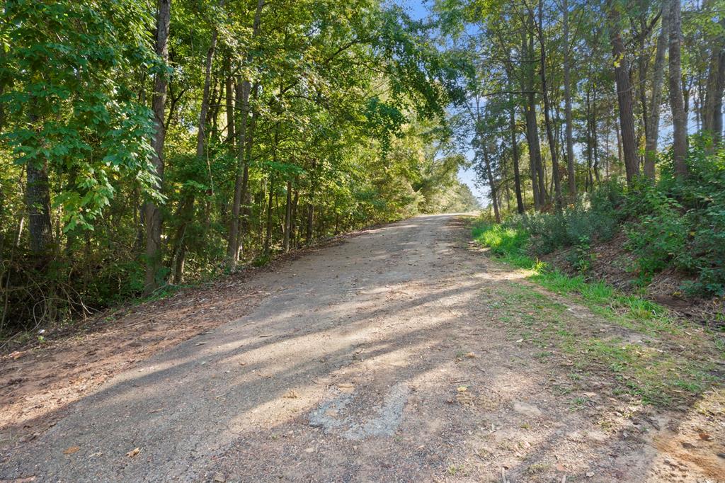 Tbd Charlya Drive Property Photo 10