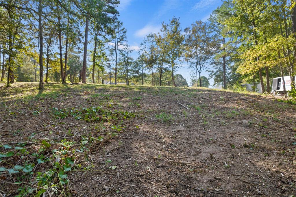 Tbd Charlya Drive Property Photo 13