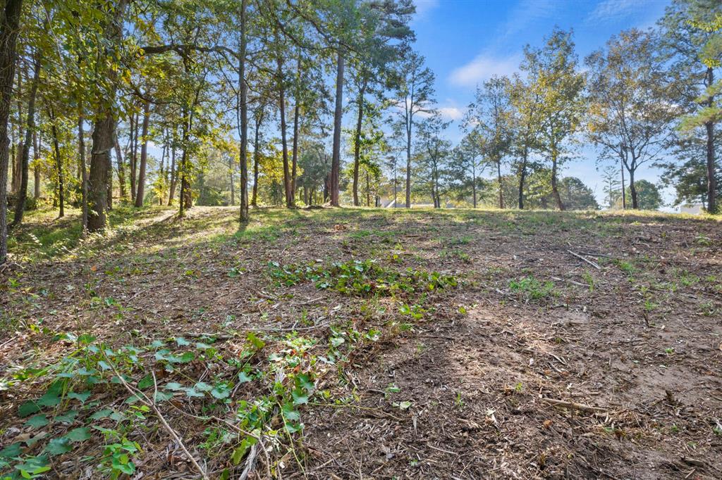 Tbd Charlya Drive Property Photo 14