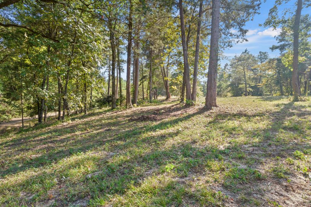 Tbd Charlya Drive Property Photo 15