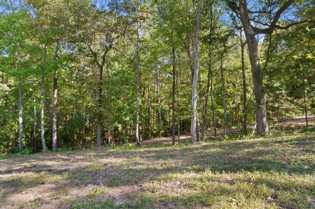 Tbd Charlya Drive Property Photo 16