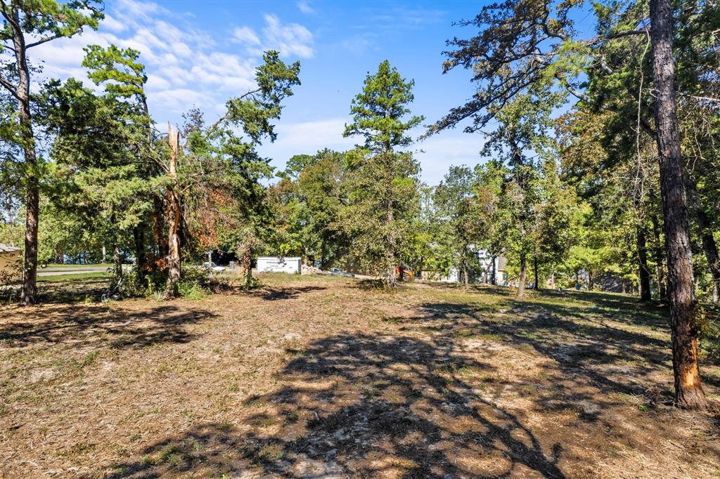 Tbd Charlya Drive Property Photo 17