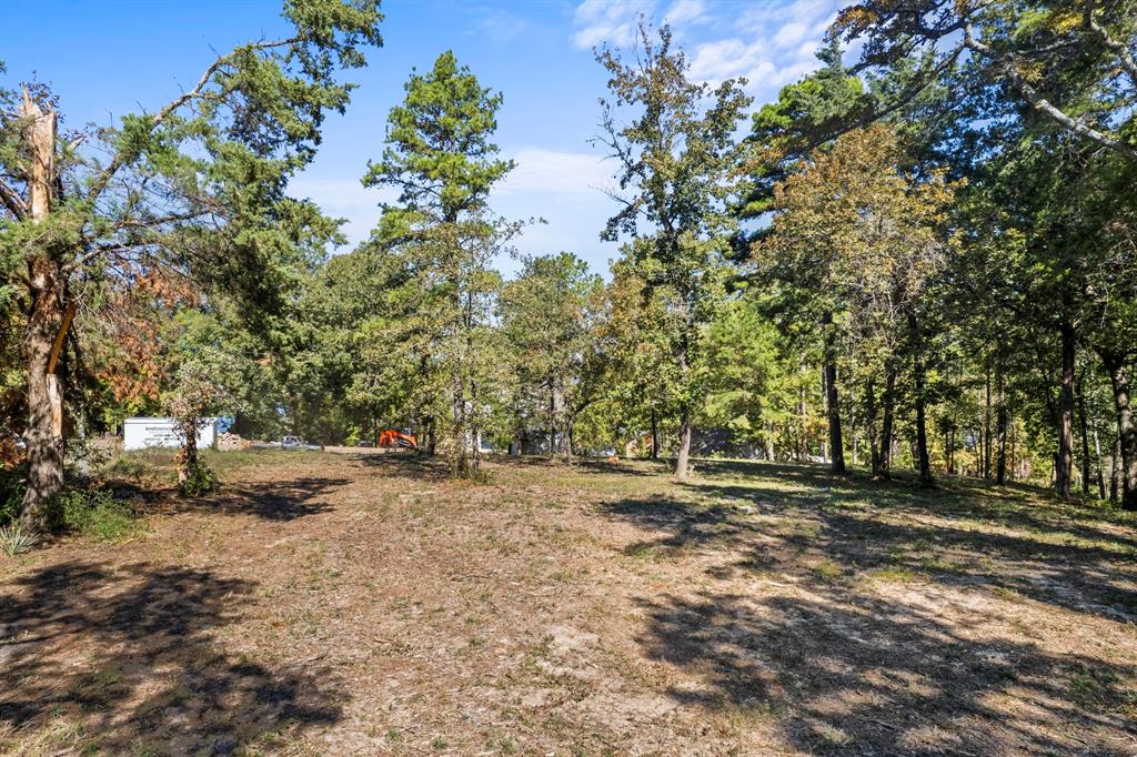 Tbd Charlya Drive Property Photo 18