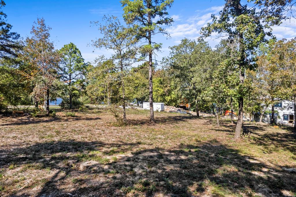 Tbd Charlya Drive Property Photo 19