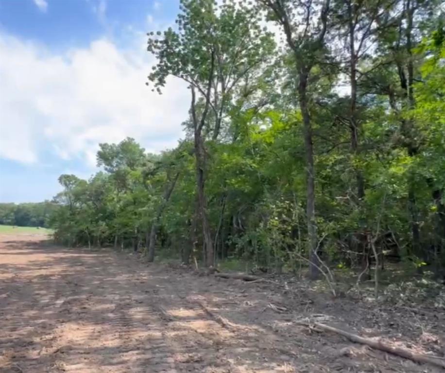 Lot 48 Spout Springs Road Property Photo 1