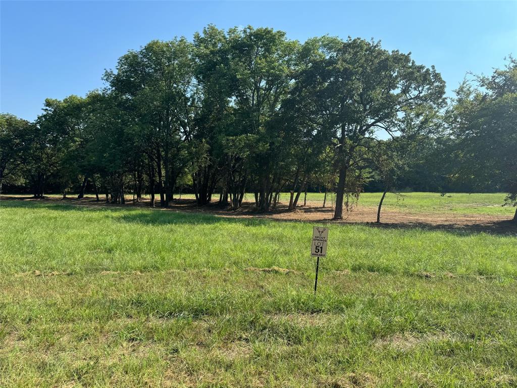 Lot 51 Spout Springs Road Property Photo 1