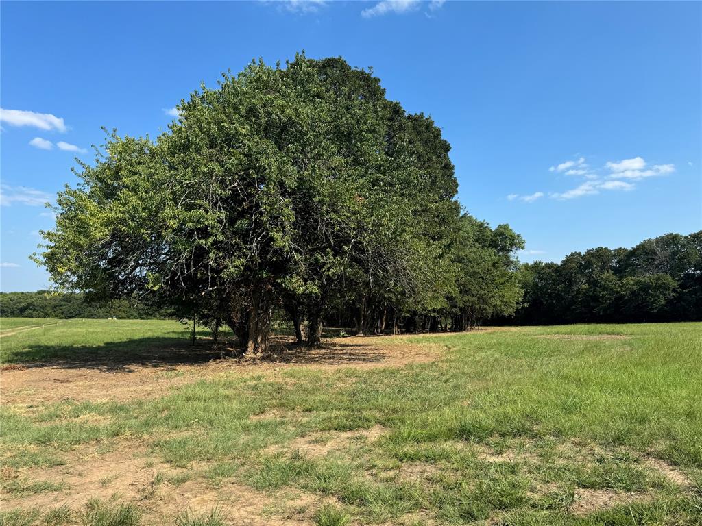 Lot 51 Spout Springs Road Property Photo 2