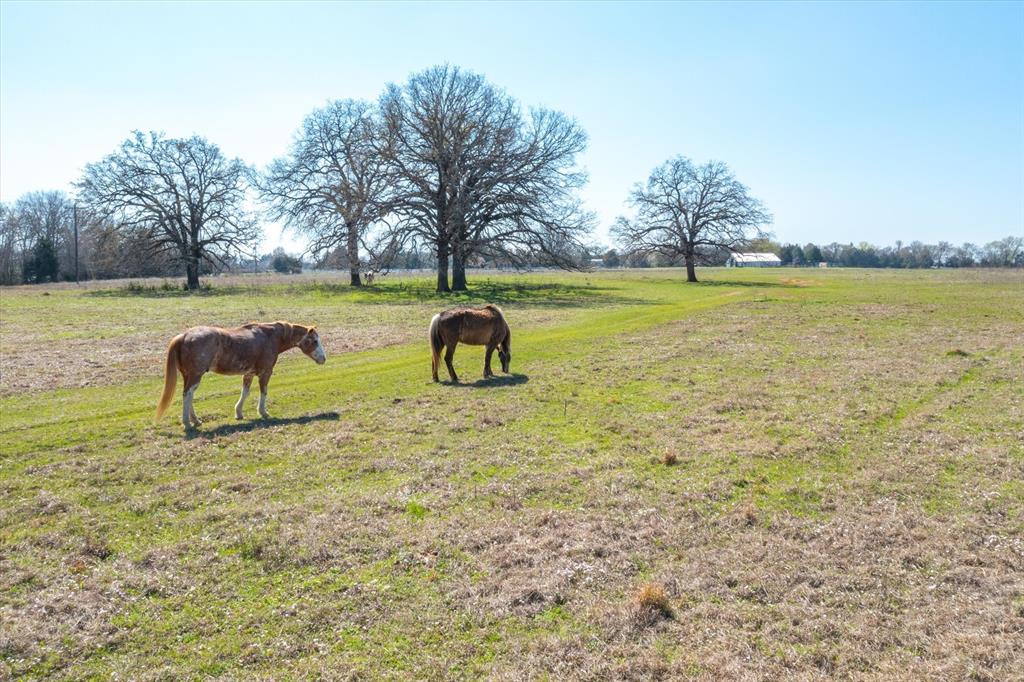 Tract 3 Vz County Road 1818 Property Photo 4