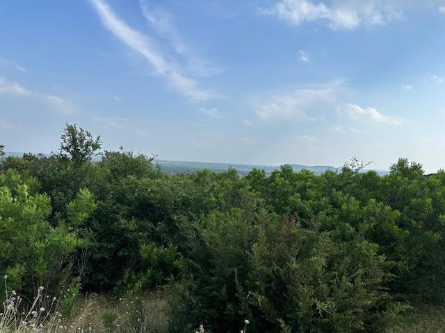 1041 Raven Circle Property Photo 1