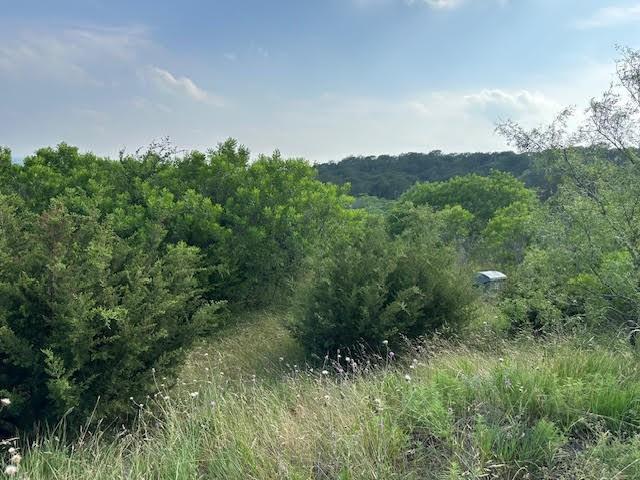 1041 Raven Circle Property Photo 3