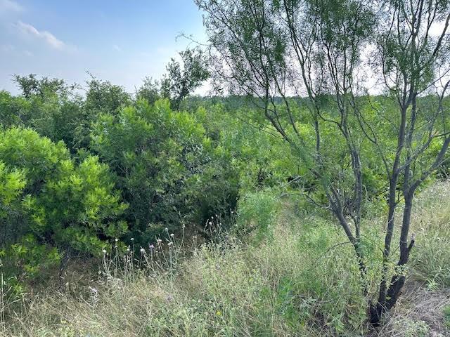 1041 Raven Circle Property Photo 4