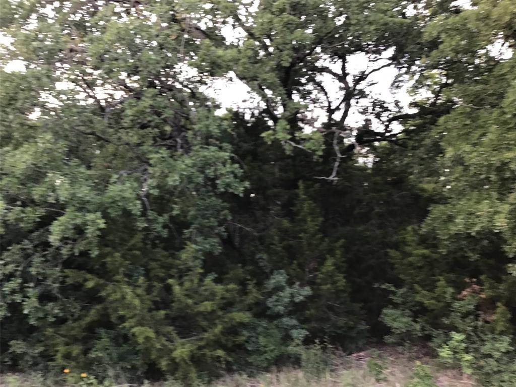 44021 Fringewood Drive Property Photo 2