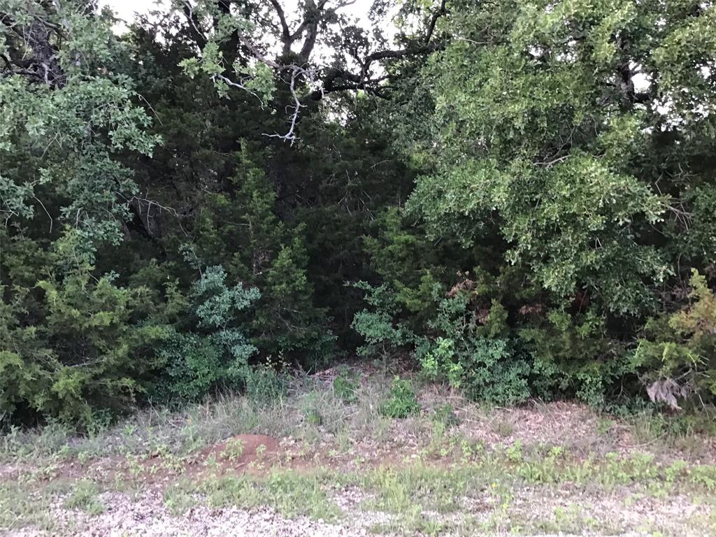 44021 Fringewood Drive Property Photo 3
