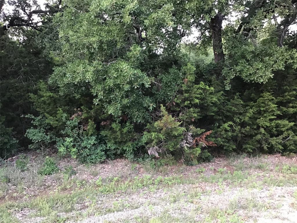 44021 Fringewood Drive Property Photo 4