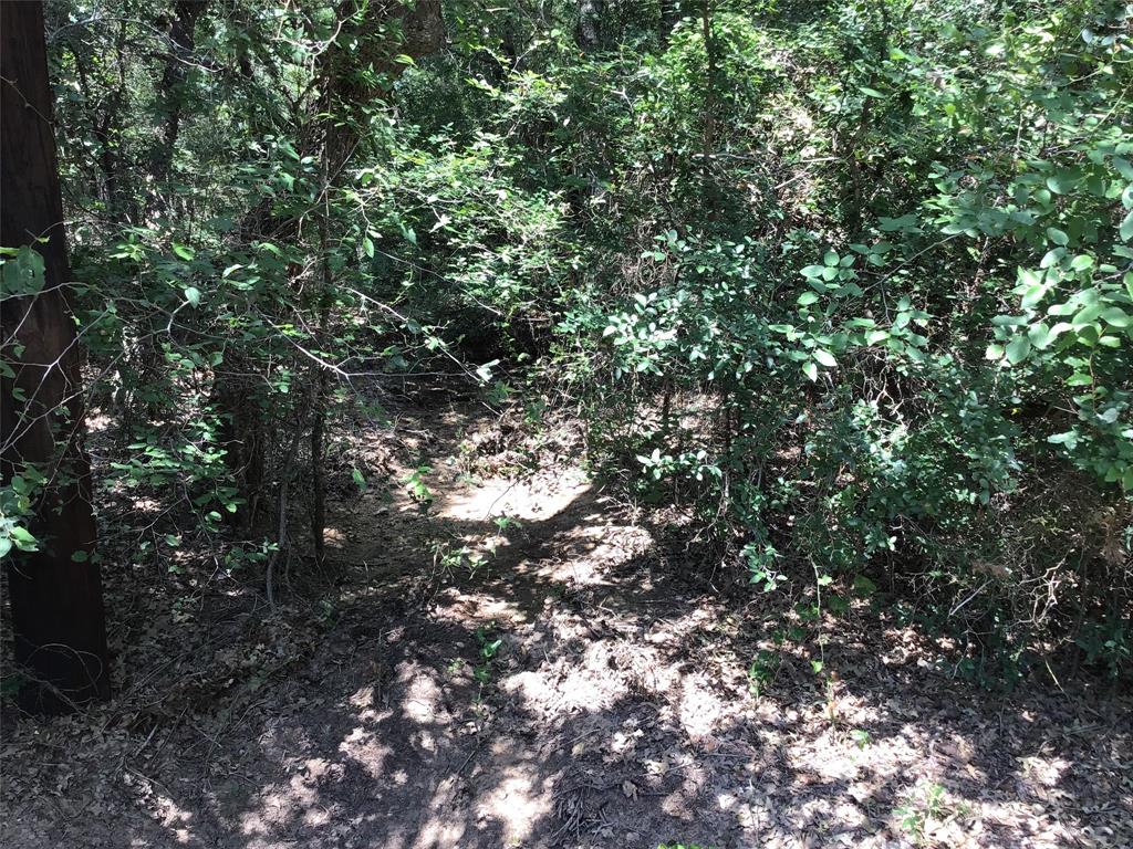44021 Fringewood Drive Property Photo 7