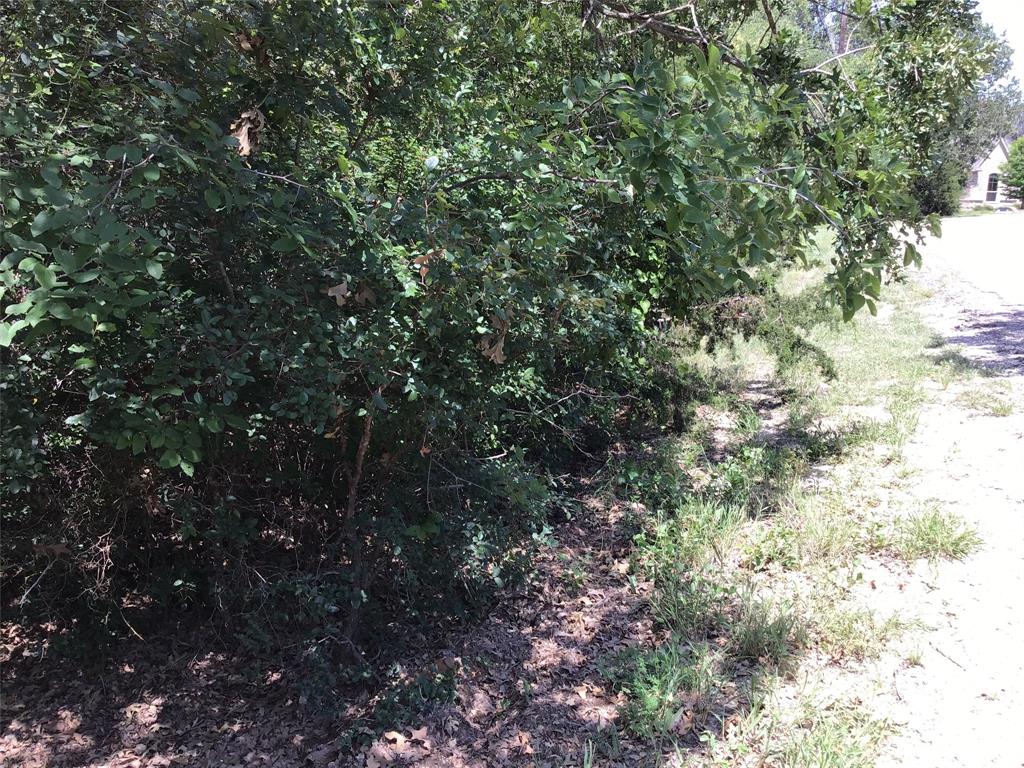 44021 Fringewood Drive Property Photo 8