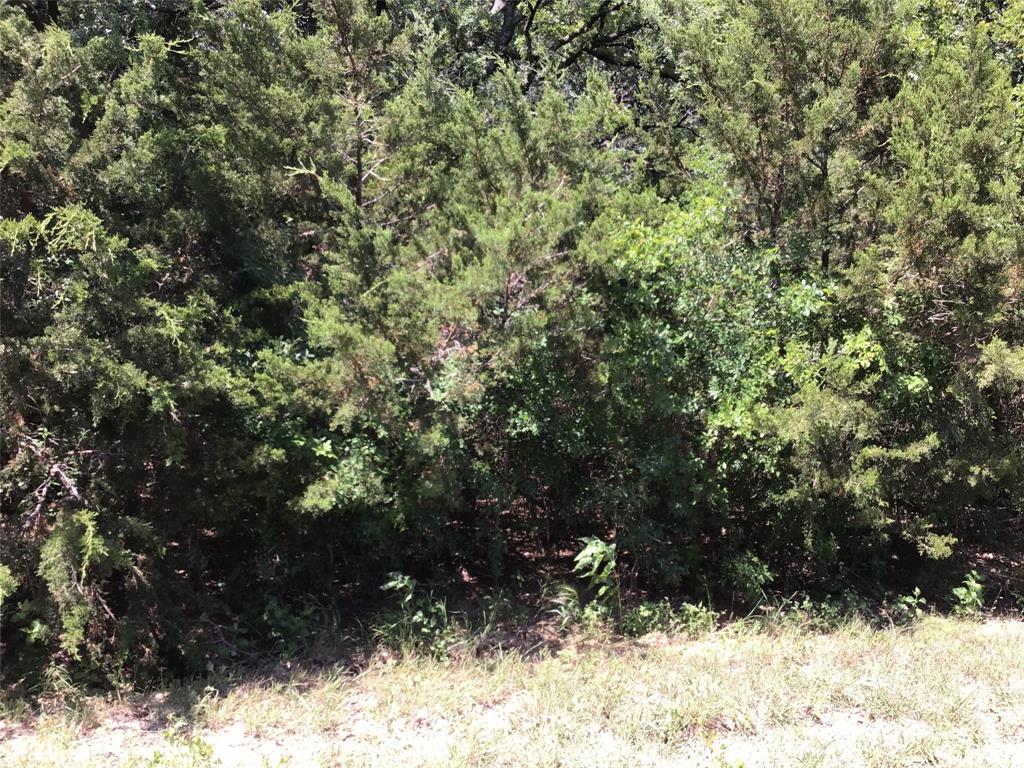 44021 Fringewood Drive Property Photo 11