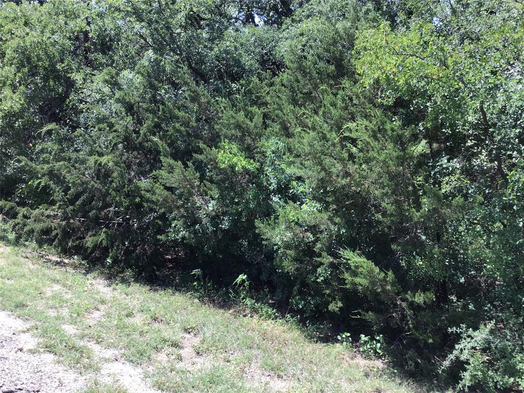 44021 Fringewood Drive Property Photo 12