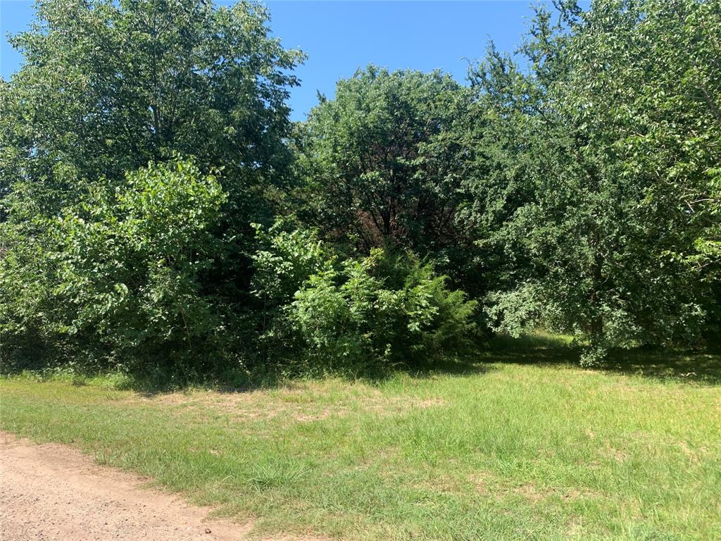 Tbd Vz County Road 3718 Property Photo 4