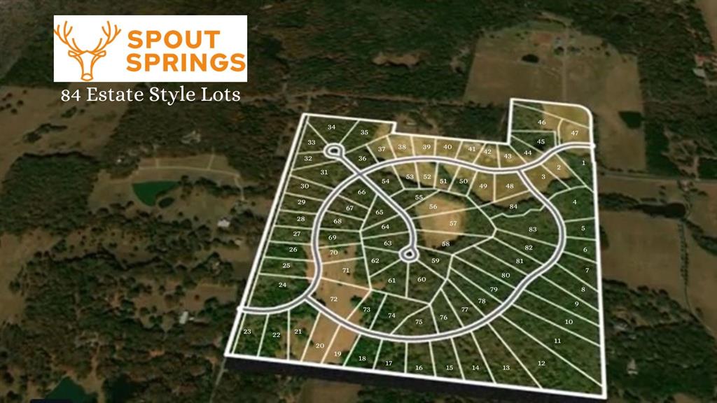 Lot 78 Spout Springs Road Property Photo 4