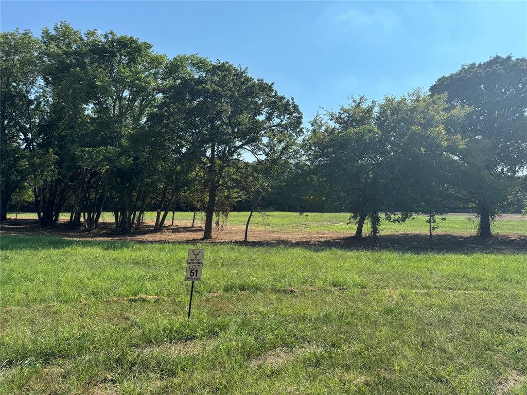 Lot 78 Spout Springs Road Property Photo 26