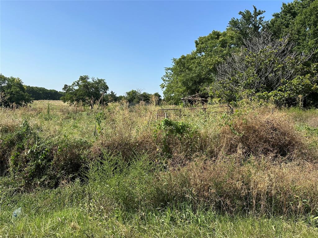 Lot 6 Cedar Road Property Photo 3