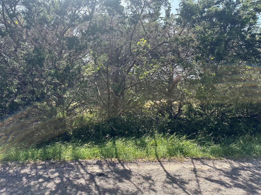 Lot 6 Cedar Road Property Photo 18