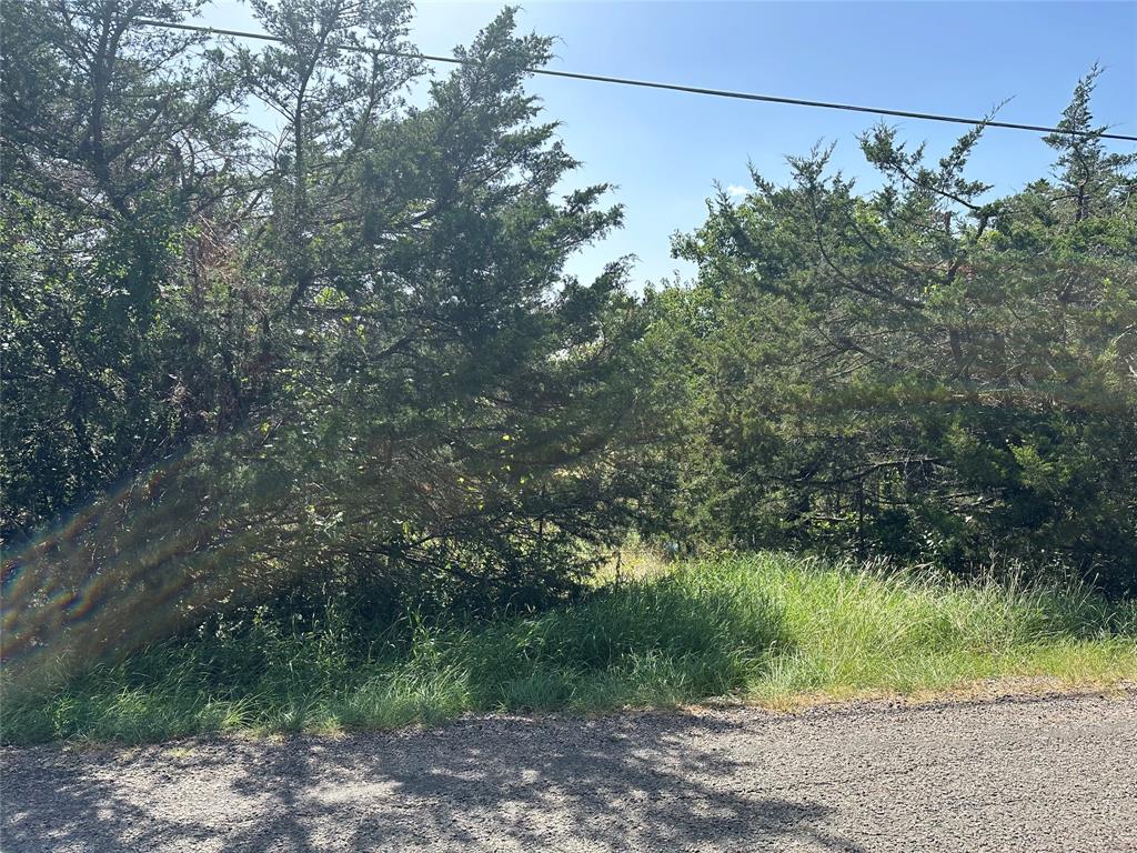 Lot 6 Cedar Road Property Photo 20
