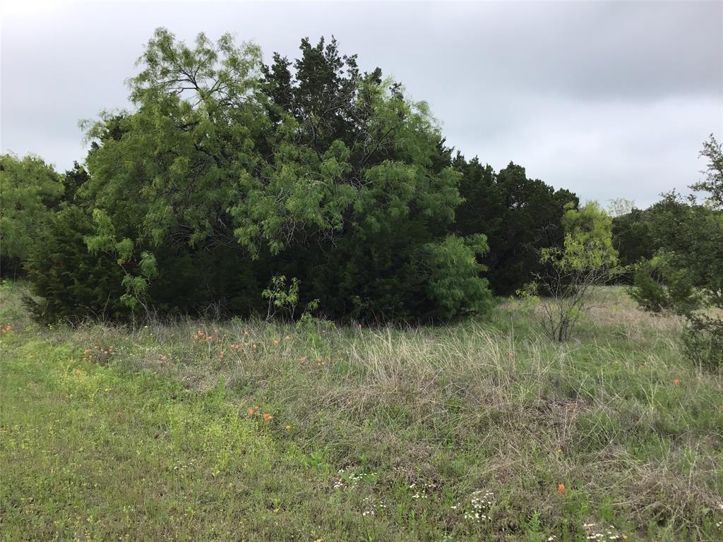 44163 High Crest Drive Property Photo 3
