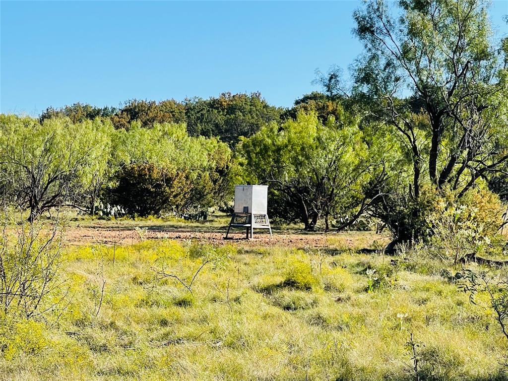 1089 Tennyson Road Property Photo 19