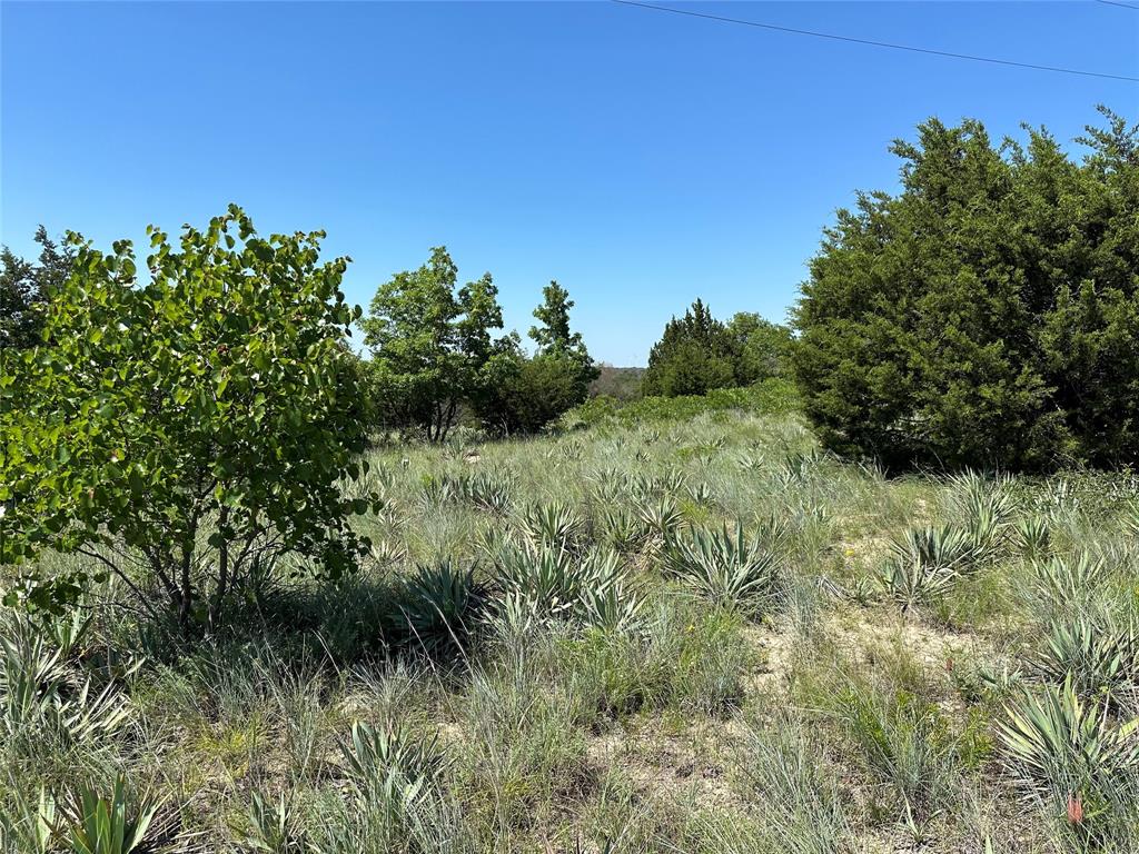 3200 Fm 590 Property Photo 21