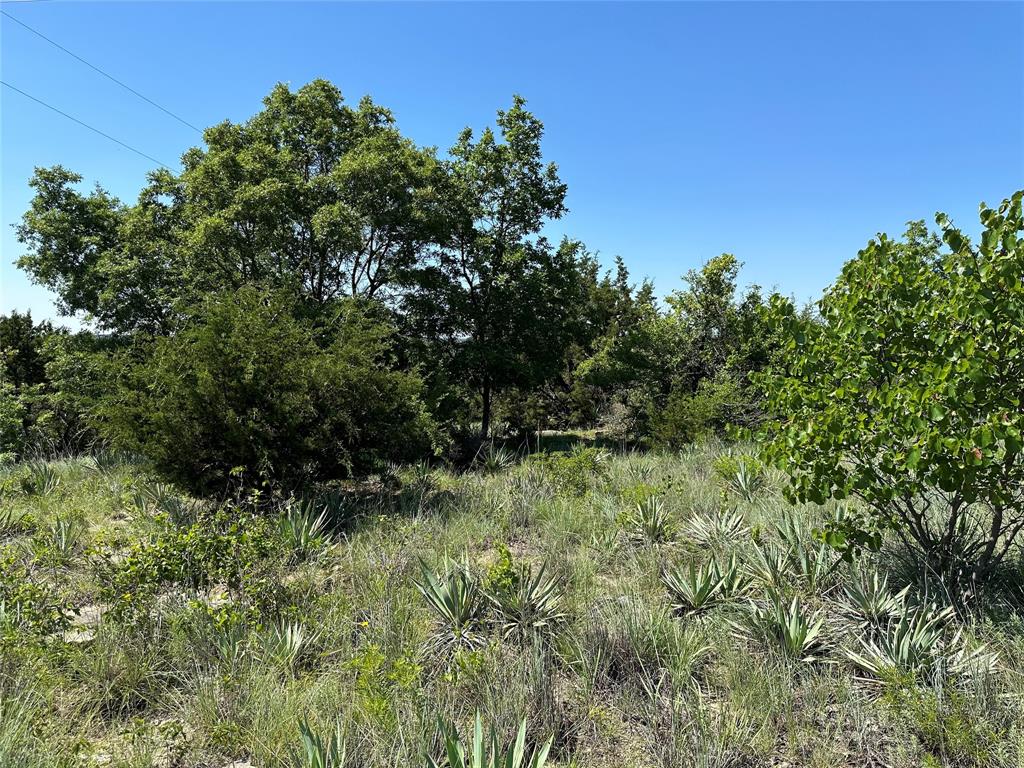 3200 Fm 590 Property Photo 22