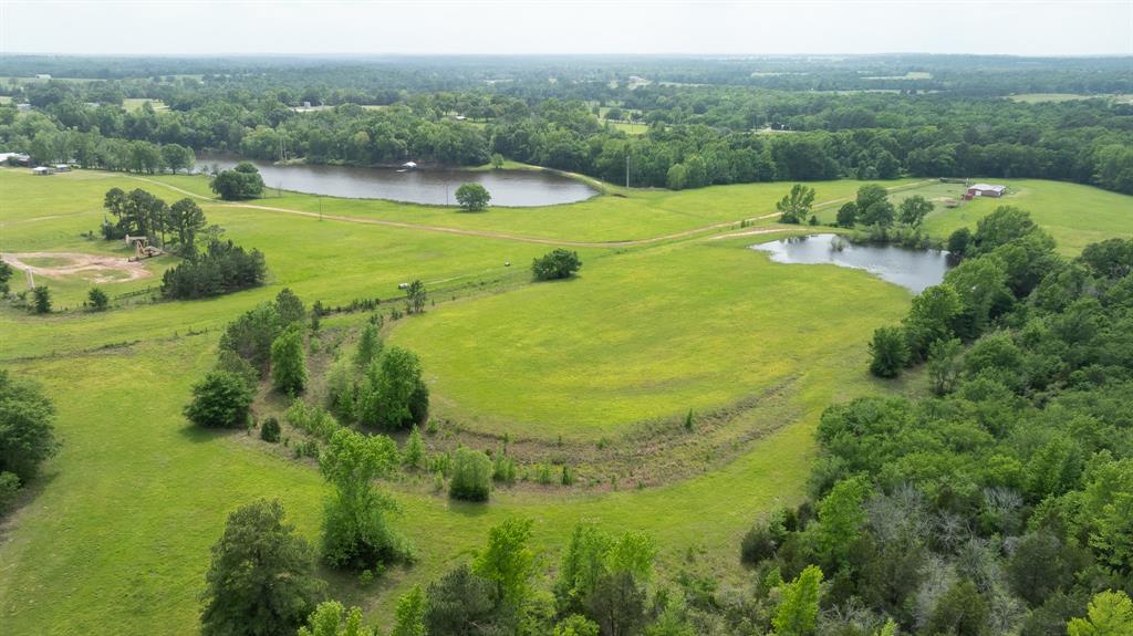 16602 Tx-19 Property Photo 3