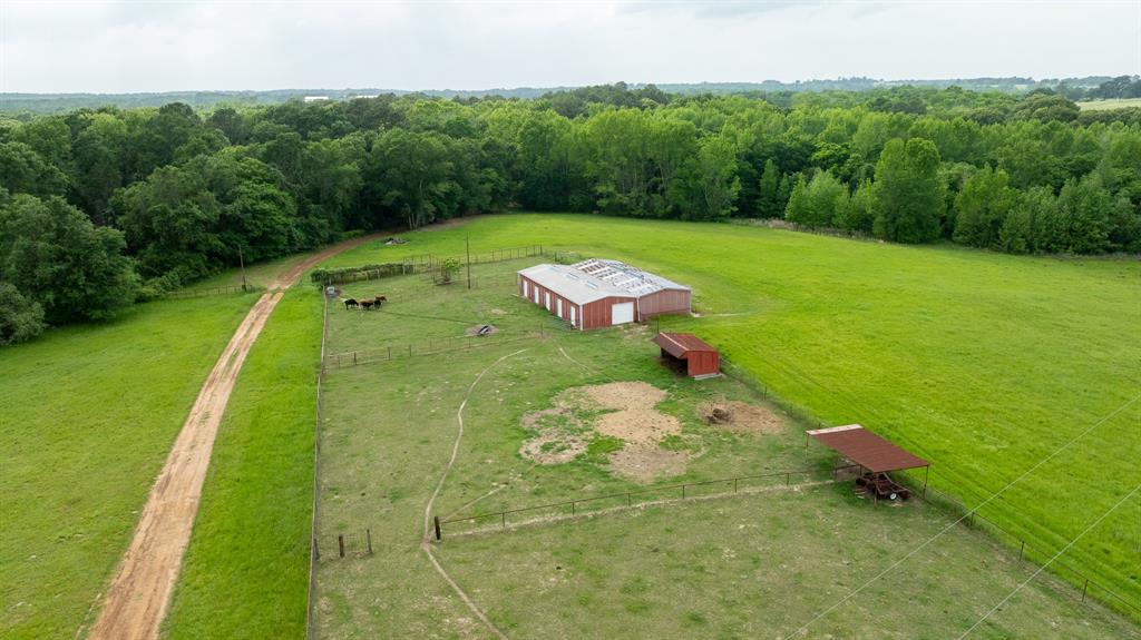 16602 Tx-19 Property Photo 8