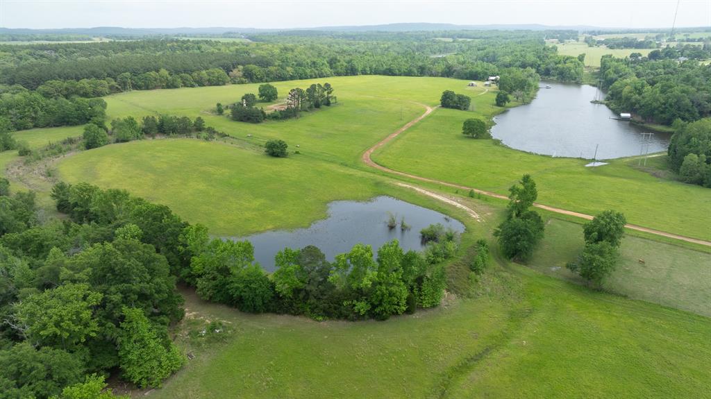 16602 Tx-19 Property Photo 9