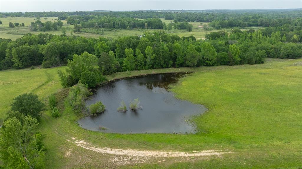 16602 Tx-19 Property Photo 10