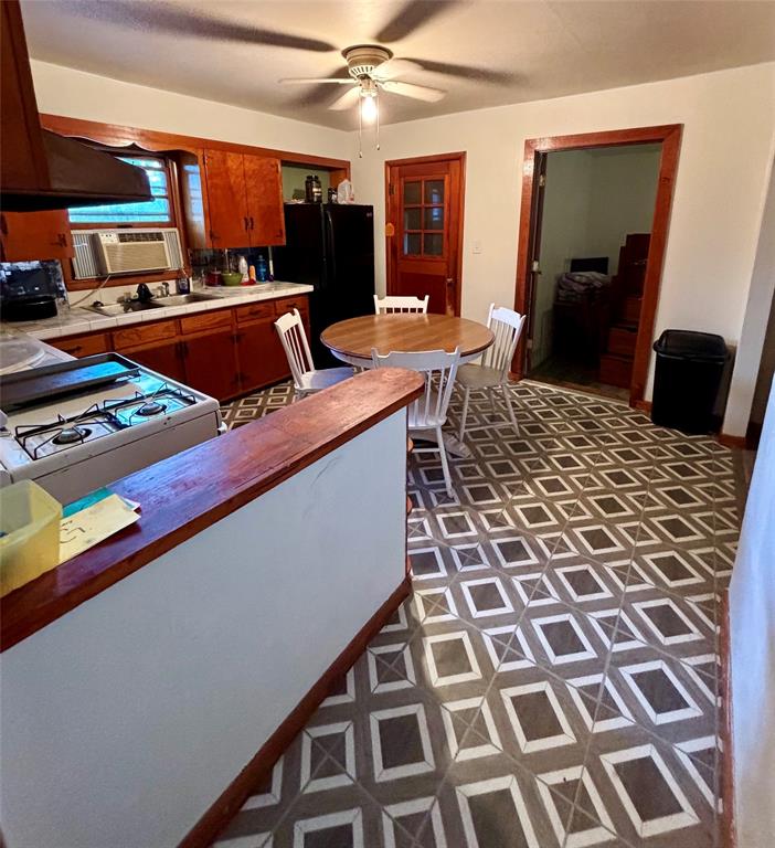 507 Tinkle Street Property Photo 2