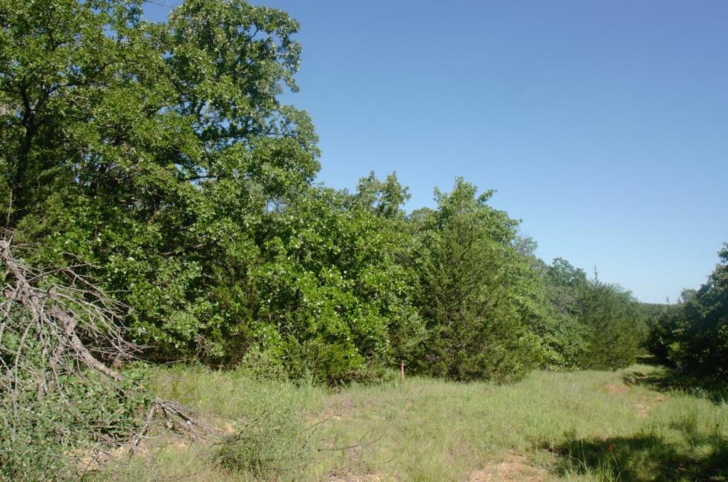 00 Bayview Drive Property Photo 11