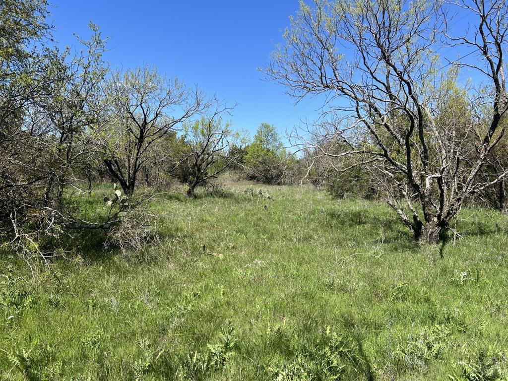 Tbd County Road 434 Property Photo 2