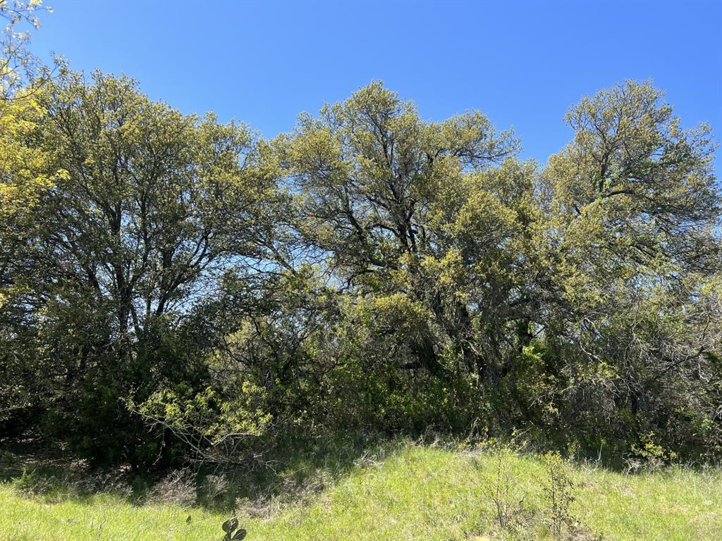 Tbd County Road 434 Property Photo 9