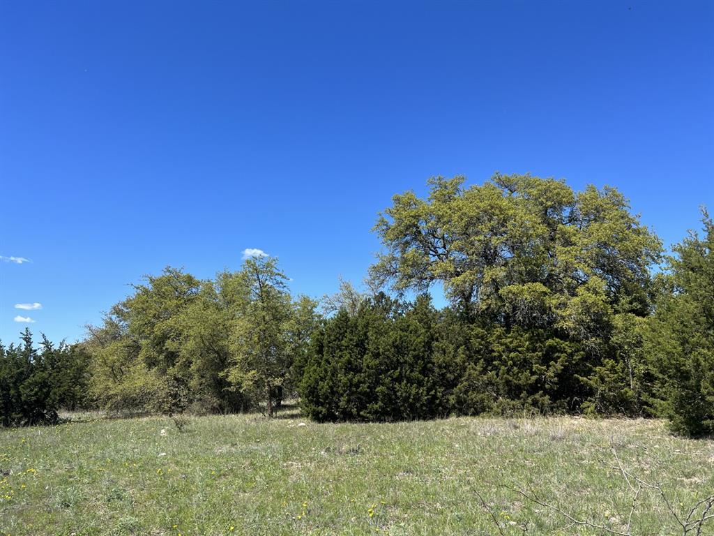 Tbd County Road 434 Property Photo 10