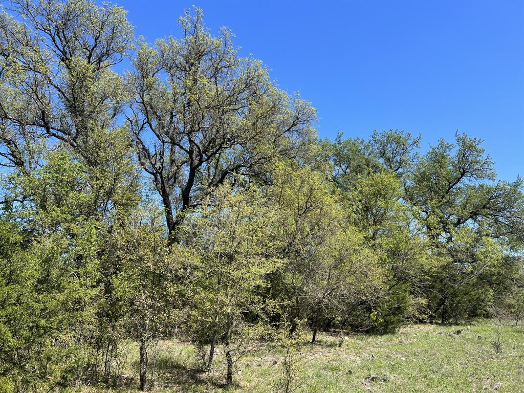 Tbd County Road 434 Property Photo 13