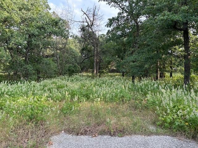 3.760 Acres Boyd Road Property Photo 1