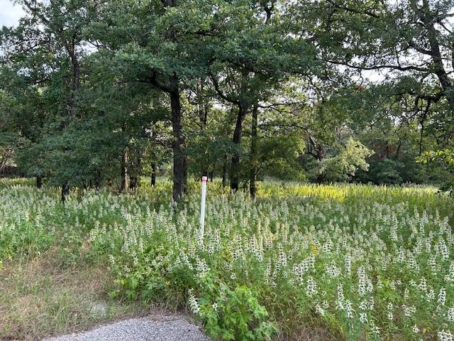 3.760 Acres Boyd Road Property Photo 2