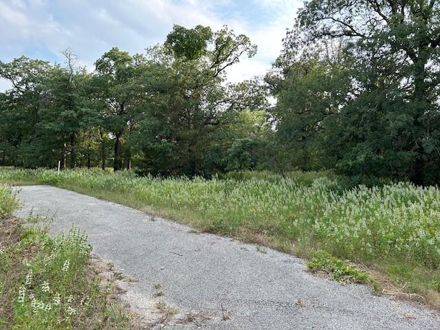 3.760 Acres Boyd Road Property Photo 3